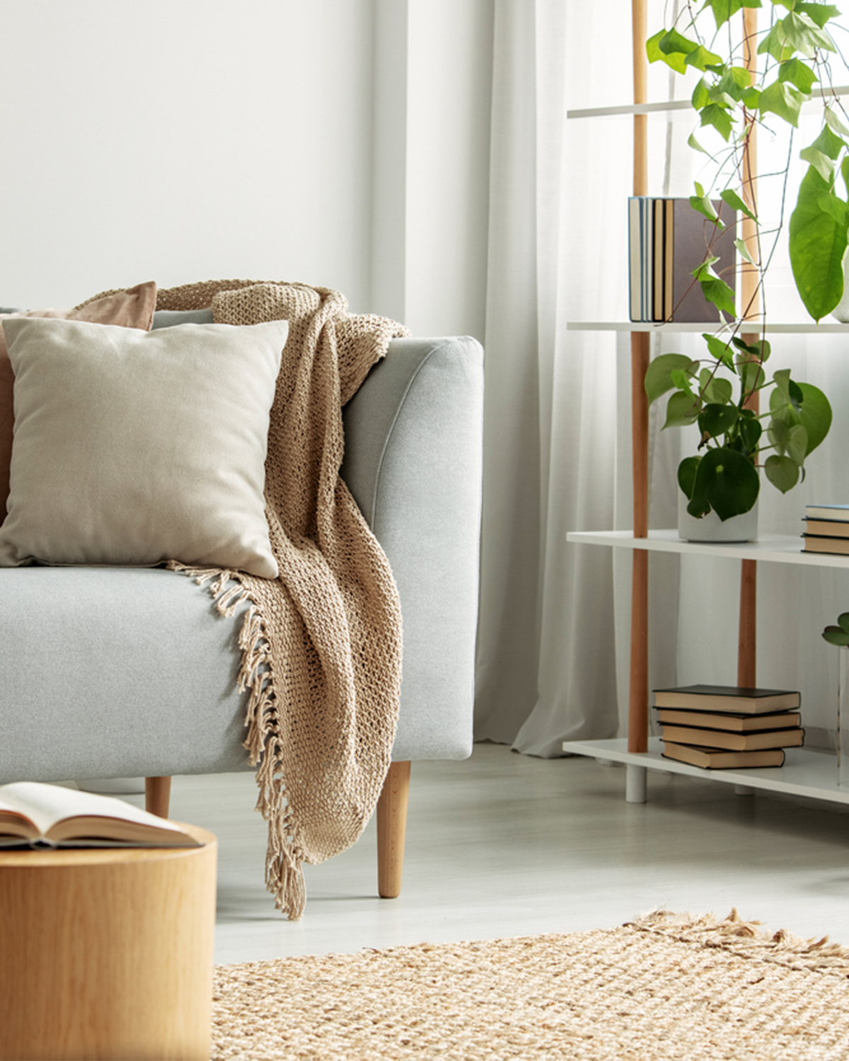 Couch with blanket and pillow and shelving with plants and books